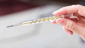 പനിക്കിടക്കയിൽ കേരളം; ആശങ്ക ഉയർത്തി സംസ്ഥാനത്ത് എലിപ്പനി വ്യാപനം, ഒരു മാസത്തിനിടെ 8 മരണം