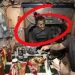 ‘സ്പേസ്’ സേഫാണോ ?…ആശങ്കയുയർത്തി സുനിത വില്യംസിന്‍റെ ചിത്രം