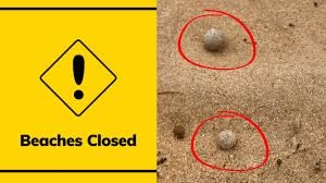 സിഡ്നിയിലെ ഒമ്പത് ബീച്ചുകൾ അടച്ചു : കടൽത്തീരത്ത് നിഗൂഢമായ പന്തുകൾ