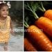 കാരറ്റ് കഷ്ണം തൊണ്ടയിൽ കുരുങ്ങി രണ്ടര വയസുകാരി മരിച്ചു