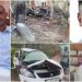 സംസ്ഥാനത്ത് വാഹനാപകടങ്ങളിൽ അഞ്ച് മരണം; ബൈക്ക് പോസ്റ്റിലിടിച്ച് തീപിടിച്ച് യുവാവിന് ദാരുണാന്ത്യം