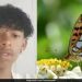 പൂമ്പാറ്റയുടെ ജഡം ശരീരത്തിൽ കുത്തിവച്ച 14 -കാരൻ മരിച്ചു; വൈറൽ ചലഞ്ചിന്റെ ഭാഗമെന്ന് സംശയിച്ച് പോലീസ്