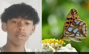 പൂമ്പാറ്റയുടെ ജഡം ശരീരത്തിൽ കുത്തിവച്ച 14 -കാരൻ മരിച്ചു; വൈറൽ ചലഞ്ചിന്റെ ഭാഗമെന്ന് സംശയിച്ച് പോലീസ്
