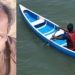 കയാക്കിംഗ് നടത്തുന്നതിനിടെ യുവതി കായലിൽ വീണു, രക്ഷിക്കാൻ ശ്രമിച്ച ഗൈഡിന്റെ വള്ളം മുങ്ങി, ദാരുണാന്ത്യം