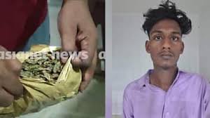ഹോസ്റ്റലിൽ കഞ്ചാവ് വിൽപന തുടങ്ങിയിട്ട് 6 മാസം,16,000 കൈമാറിയത് ഗൂഗിൾ പേ വഴി, കാണാതായ 2 കിലോ കഞ്ചാവ് എവിടെ ?