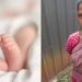 ആദ്യ ഭർത്താവ് മരിച്ചു, ഗർഭിണിയാണെന്ന് രണ്ടാം ഭർത്താവിനെ അറിയിച്ചില്ല, കുടുംബം തകരാതിരിക്കാൻ അരുംകൊല, അറസ്റ്റ്