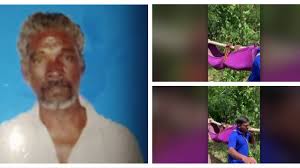 ‘നെഞ്ചിന് ചവിട്ടേറ്റ് വാരിയെല്ല് തകര്ന്നു, തലയ്ക്കും പരിക്ക്’; കാളിയുടെ പോസ്റ്റ്മോര്ട്ടം റിപ്പോര്ട്ട്
