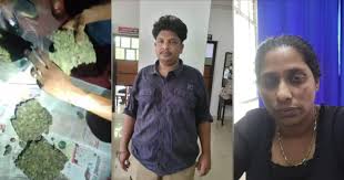 ഫോണിൽ സിനിമയിലെ പ്രമുഖരുടെ നമ്പറുകളും വാട്സാപ്പ് ചാറ്റുകളും’; കഞ്ചാവുമായി പിടിയിലായ യുവതിക്ക് ഉന്നത ബന്ധം