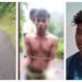 ആദിവാസി യുവാവിനെ കെട്ടിയിട്ട് മർദിച്ച സംഭവം; സിജുവിനെ കേട്ടശേഷം പ്രതികളുടെ ജാമ്യാപേക്ഷ കോടതി പരിഗണിക്കും