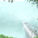 കനത്തമഴയിൽ ജലനിരപ്പുയർന്നു, മുല്ലപ്പെരിയാർ 136 അടി തൊട്ടു; ഇന്ന് ഡാം തുറക്കുമെന്ന് തമിഴ്നാടിന്റെ അറിയിപ്പ്, പ്രദേശവാസികൾക്ക് ജാഗ്രത നിർദ്ദേശം