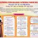 മെൽബൺ സീറോ മലബാർ കത്തീഡ്രൽ ഇടവകയിൽ വിശുദ്ധ അൽഫോൻസമ്മയുടെ തിരുന്നാൾ ജൂലൈ 27 ന്
