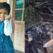 പൊൽപുള്ളി കാർ അപകടം; എൽസിയും അലീനയും കണ്ണുതുറന്നു, അമ്മയുടെ അന്ത്യ ചുംബനം കാത്ത് ആൽഫിനും എമിയും