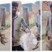 നായക്കുട്ടിയെ ചൂരലിന് അടിച്ച് വലിച്ചെറിഞ്ഞ് യുവാവ്; നടപടി വേണമെന്ന് സോഷ്യല്‍ മീഡിയ, പിന്നാലെ അറസ്റ്റ്