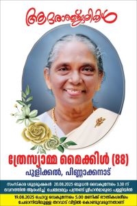 ത്രേസ്യാമ്മ മൈക്കിൾ നിര്യാതയായി