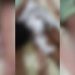 നിക്കറിൽ മൂത്രം ഒഴിച്ചതിന് ക്രൂരത; നാലര വയസുകാരനെ ചട്ടുകം കൊണ്ട് പൊള്ളിച്ചു, അമ്മ അറസ്റ്റിൽ