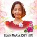 എലെയ്ൻ മരിയ ജോബിയുടെ സംസ്ക്കാരം സെപ്റ്റംബർ പത്തിന്