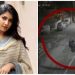 തെളിവ് കിട്ടി! 3 പേരെ ഇടിച്ച് തെറിപ്പിച്ച ശേഷം കാർ നിർത്താതെ പോയത് നടി ദിവ്യ സുരേഷ്; പൊലീസ് കണ്ടെത്തി, കേസെടുത്തു, വാഹനം പിടിച്ചെടുത്തു