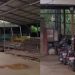 കുണ്ടന്നൂര്‍ കവര്‍ച്ച; മോഷ്ടിച്ച പണത്തിന് ഏലക്ക വാങ്ങി, ഒന്നാം പ്രതിയെ ഏലത്തോട്ടത്തിൽ ഒളിപ്പിച്ചത് ലെനിൻ