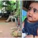 കേരളത്തിനാകെ നൊമ്പരമായ അങ്കമാലിയിലെ കുഞ്ഞിന്‍റെ കൊലപാതകം, അമ്മൂമ്മയുടെ അറസ്റ്റ് ഇന്നുണ്ടാകും