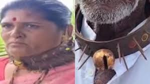 കഴുത്തിൽ ആണികൾ തറച്ച ബെൽറ്റ് ധരിച്ച് ജനങ്ങൾ; വിചിത്ര കവചം പുലിയെ ഭയന്ന്, പുലിപ്പേടിയിൽ പുനെയിലെ ഒരു ഗ്രാമം
