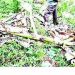 സ്വയം കഴുത്തു മുറിച്ച് വനത്തിലേക്ക് ഓടിപ്പോയ മധ്യവയസ്ക്കൻ ഉൾവനത്തിൽ മരിച്ചനിലയിൽ