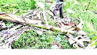 സ്വയം കഴുത്തു മുറിച്ച് വനത്തിലേക്ക് ഓടിപ്പോയ മധ്യവയസ്ക്കൻ ഉൾവനത്തിൽ മരിച്ചനിലയിൽ