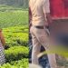മലയാറ്റൂരിൽ കാണാതായ 19 വയസ്സുകാരിയുടെ മരണം കൊലപാതകം? ആൺ സുഹൃത്തിനെ ചോദ്യം ചെയ്യുന്നു