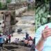 അജിത് പവാറിൻ്റെ മരണം: വിമാനക്കമ്പനി അധികൃതരെ ചോദ്യം ചെയ്തു, ഓഫീസിൽ ഉദ്യോ​ഗസ്ഥരുടെ പരിശോധന