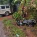 കളമശേരിയിൽ ദാരുണ അപകടം: ബൈക്ക് മെട്രോ തൂണിലിടിച്ച് ഐടി കമ്പനി ജീവനക്കാരൻ മരിച്ചു