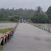 മഴയിൽ പൊട്ടിമുളച്ച തകരയല്ല, പറയേണ്ടത് പറഞ്ഞില്ലെങ്കിൽ എൻ്റെ വ്യക്തിത്വം ഇല്ലാതാവും; ലീഗ് സ്ഥാനാർത്ഥി പട്ടികയിൽ അതൃപ്തിയുമായി നൂർബിന റഷീദ്