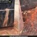 ബ്രിട്ടനിൽ രണ്ട് ഇന്ത്യക്കാർക്ക് കനത്ത പിഴ