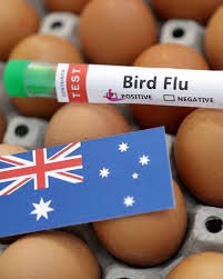 പക്ഷിപ്പനി ഭീതിയിൽ ഓസ്‌ട്രേലിയ; മക്ഡൊണാൾഡ്‌സ് പ്രഭാതഭക്ഷണ സമയത്തിൽ കുറവ് വരുത്തി