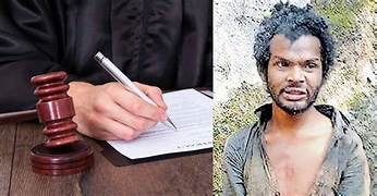 അട്ടപ്പാടി മധു വധക്കേസ്; ശിക്ഷാവിധി റദ്ദാക്കണമെന്ന പ്രതികളുടെ അപ്പീലിൽ ഹൈക്കോടതി വിധി ഇന്ന്